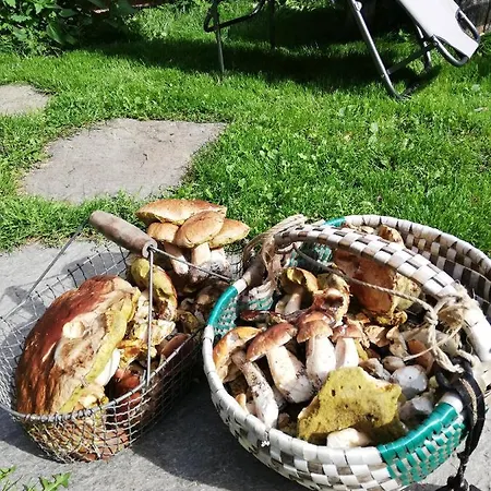 Gosciniec Kaszarnia Kamienne