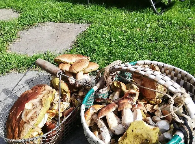 Gosciniec Kaszarnia Kamienne